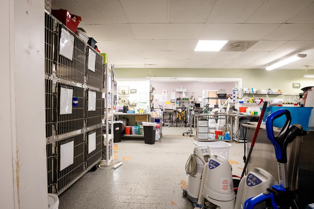 Dalton, Georgia, 30720, United States, ,Residential,Active,2001043