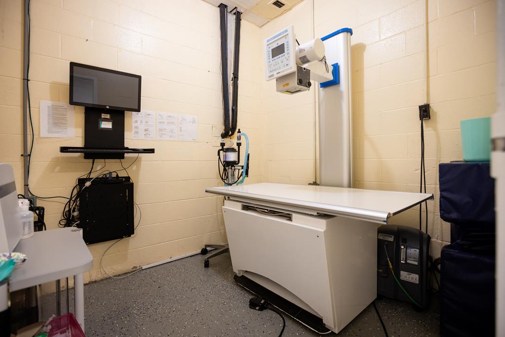 Dalton, Georgia, 30720, United States, ,Residential,Active,2001043