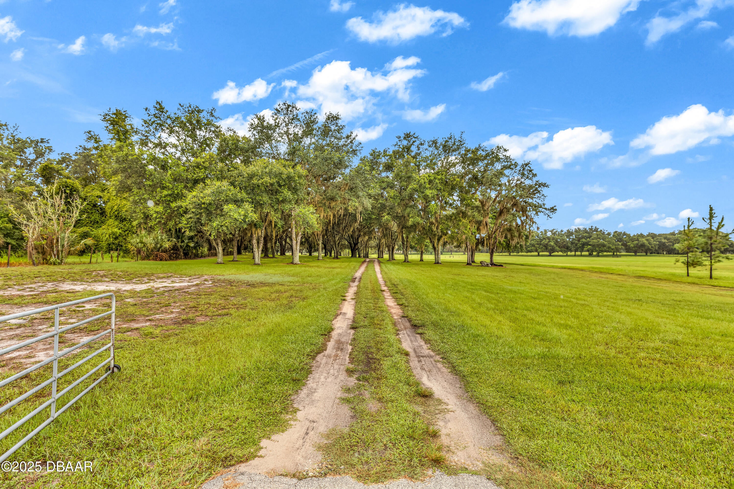Crystal River, Florida, 34428, United States, 6 Bedrooms Bedrooms, ,5 BathroomsBathrooms,Residential,Active,1942404