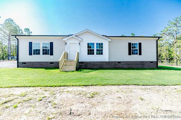 175 MICKEY ROUSE LN, CAMERON, NC 28326 - Image 1