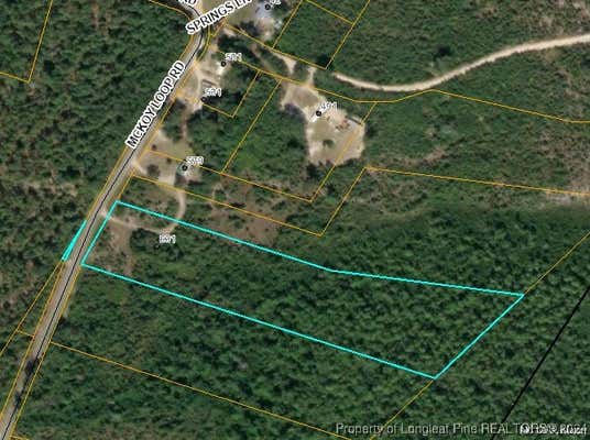 0 MCKOY LOOP ROAD, IVANHOE, NC 28447 - Image 1