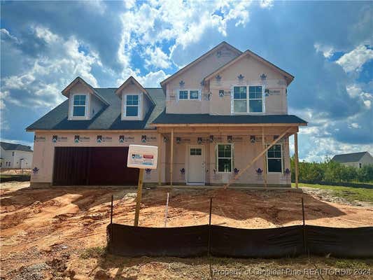 248 GODWIN GATE ST LOT 55, LINDEN, NC 28356 - Image 1