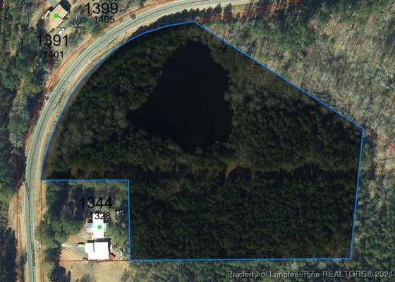 0 LOWER MONCURE ROAD, SANFORD, NC 27330 - Image 1