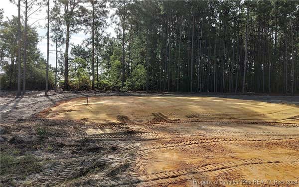 166 DAWN RUN (LOT 64), RAEFORD, NC 28376 - Image 1