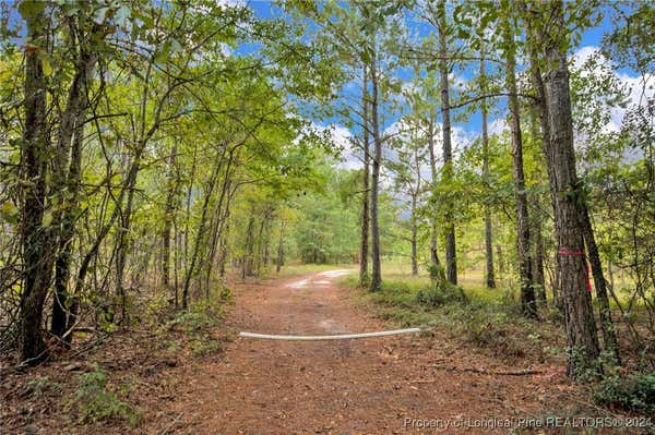 2A MCKOY TOWN RD, CAMERON, NC 28326 - Image 1