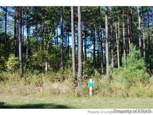 45 BROADLAKE LN, SPRING LAKE, NC 28390 - Image 1