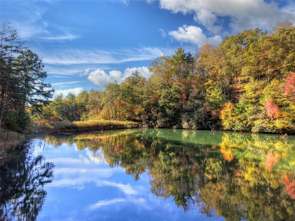 Ellijay, Georgia, 30540, United States, 4 Bedrooms Bedrooms, ,3 BathroomsBathrooms,Residential,Active,1972201