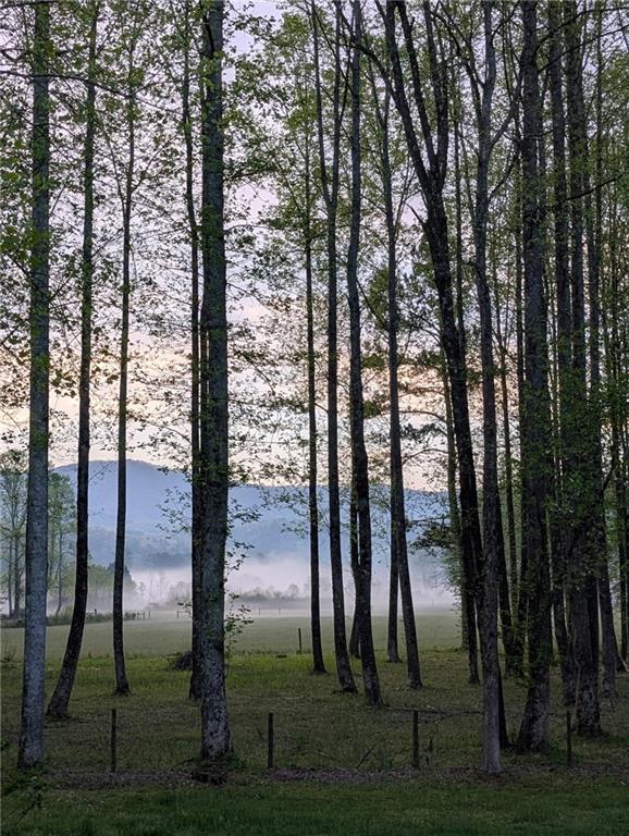 Ellijay, Georgia, 30540, United States, 4 Bedrooms Bedrooms, ,3 BathroomsBathrooms,Residential,Active,1968102