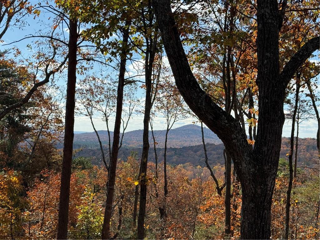 Big Canoe, Georgia, 30143, United States, 5 Bedrooms Bedrooms, ,5 BathroomsBathrooms,Residential,Active,1997553