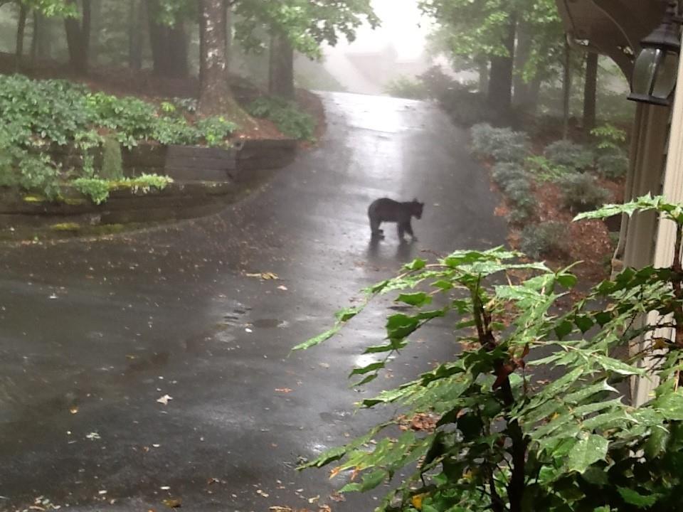 Big Canoe, Georgia, 30143, United States, 4 Bedrooms Bedrooms, ,5 BathroomsBathrooms,Residential,Active,2010159