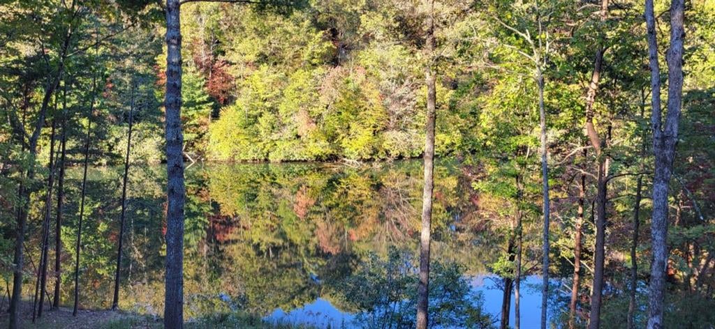 Ellijay, Georgia, 30540, United States, 4 Bedrooms Bedrooms, ,3 BathroomsBathrooms,Residential,Active,1972201