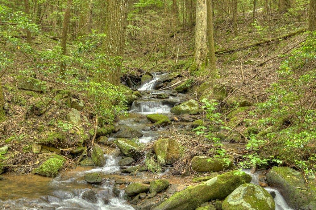 Ellijay, Georgia, 30536, United States, 5 Bedrooms Bedrooms, ,6 BathroomsBathrooms,Residential,Active,1954428