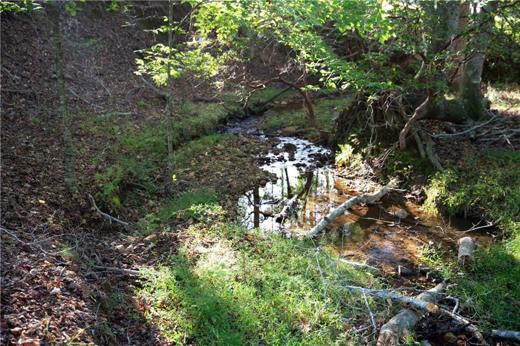 Ball Ground, Georgia, 30107, United States, 5 Bedrooms Bedrooms, ,6 BathroomsBathrooms,Residential,Active,1961964