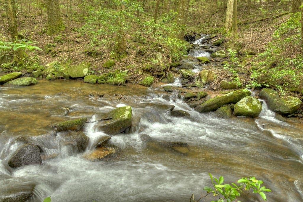 Ellijay, Georgia, 30536, United States, 5 Bedrooms Bedrooms, ,6 BathroomsBathrooms,Residential,Active,1954428