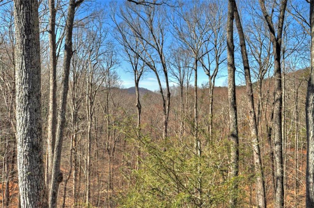 Ellijay, Georgia, 30536, United States, 5 Bedrooms Bedrooms, ,6 BathroomsBathrooms,Residential,Active,1954428