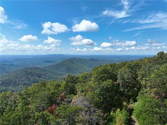 247 ANDES RIDGE, ELLIJAY, GA 30536 - Image 1