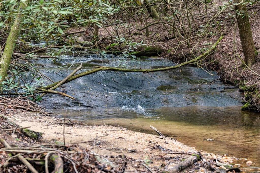 Ellijay, Georgia, 30536, United States, 4 Bedrooms Bedrooms, ,4 BathroomsBathrooms,Residential,Active,1810365