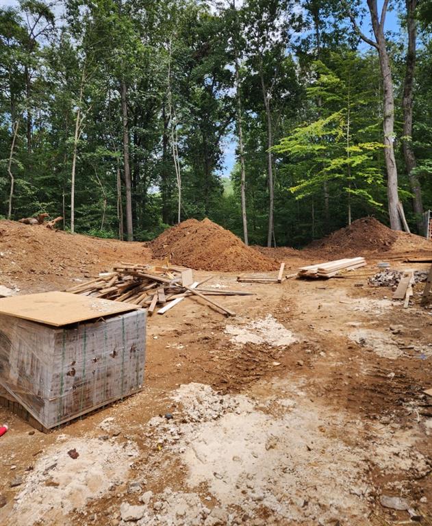 Flowery Branch, Georgia, 30542, United States, 5 Bedrooms Bedrooms, ,6 BathroomsBathrooms,Residential,Active,1926898