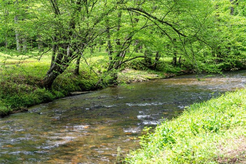 Ellijay, Georgia, 30536, United States, 4 Bedrooms Bedrooms, ,4 BathroomsBathrooms,Residential,Active,1810365