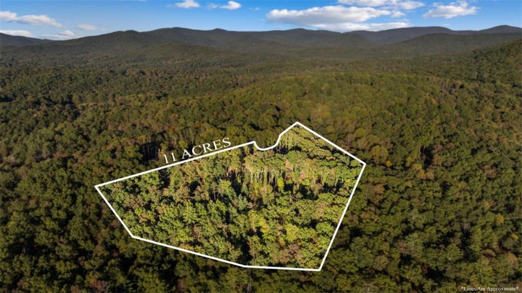 Ellijay, Georgia, 30536, United States, 3 Bedrooms Bedrooms, ,4 BathroomsBathrooms,Residential,Active,1968420