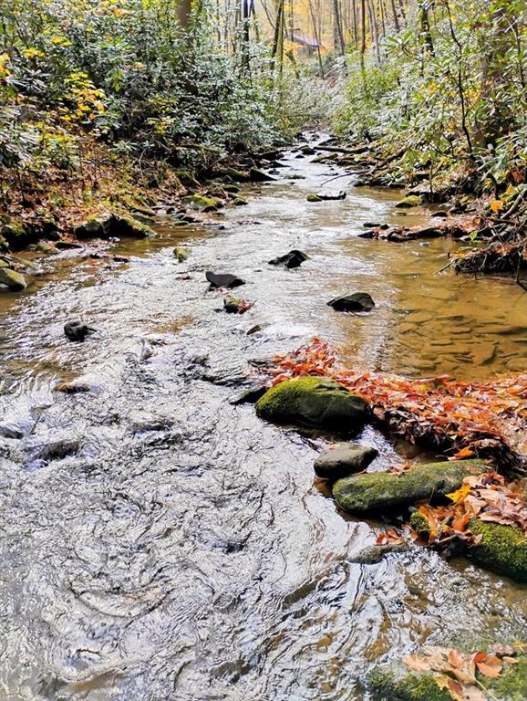 Cherry Log, Georgia, 30522, United States, 4 Bedrooms Bedrooms, ,5 BathroomsBathrooms,Residential,Active,1961897