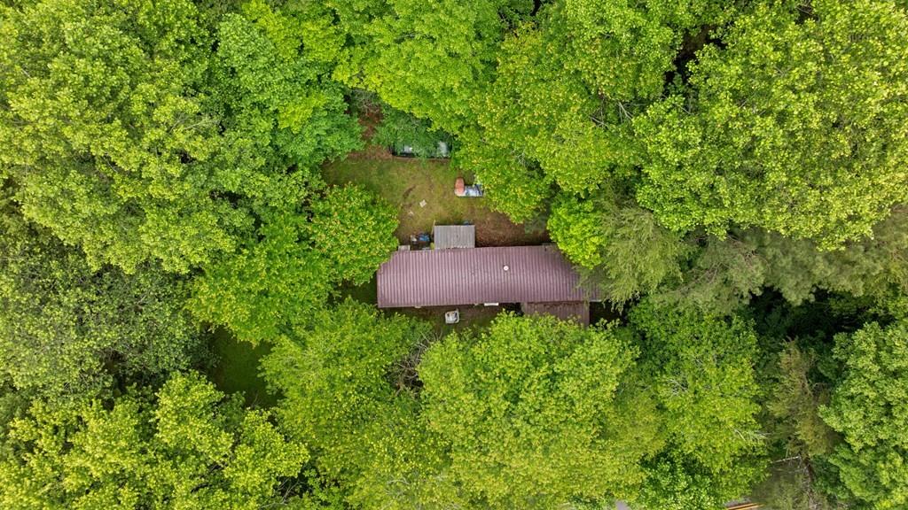 Ellijay, Georgia, 30536, United States, 3 Bedrooms Bedrooms, ,3 BathroomsBathrooms,Residential,Active,1953416