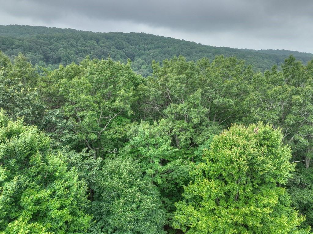 Ellijay, Georgia, 30536, United States, ,7 BathroomsBathrooms,Residential,Active,1824568