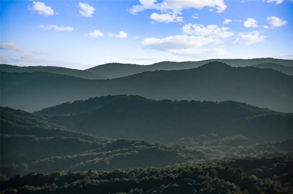 Blue Ridge, Georgia, 30513, United States, 4 Bedrooms Bedrooms, ,4 BathroomsBathrooms,Residential,Active,1908165