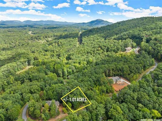 21 LONG MOUNTAIN TRL, CLEVELAND, GA 30528 - Image 1