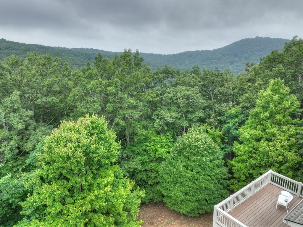 Ellijay, Georgia, 30536, United States, ,7 BathroomsBathrooms,Residential,Active,1824568