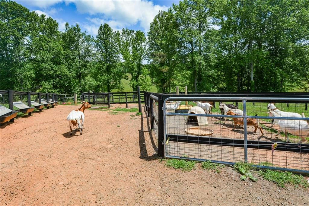 Waleska, Georgia, 30183, United States, ,5 BathroomsBathrooms,Residential,Active,1704235