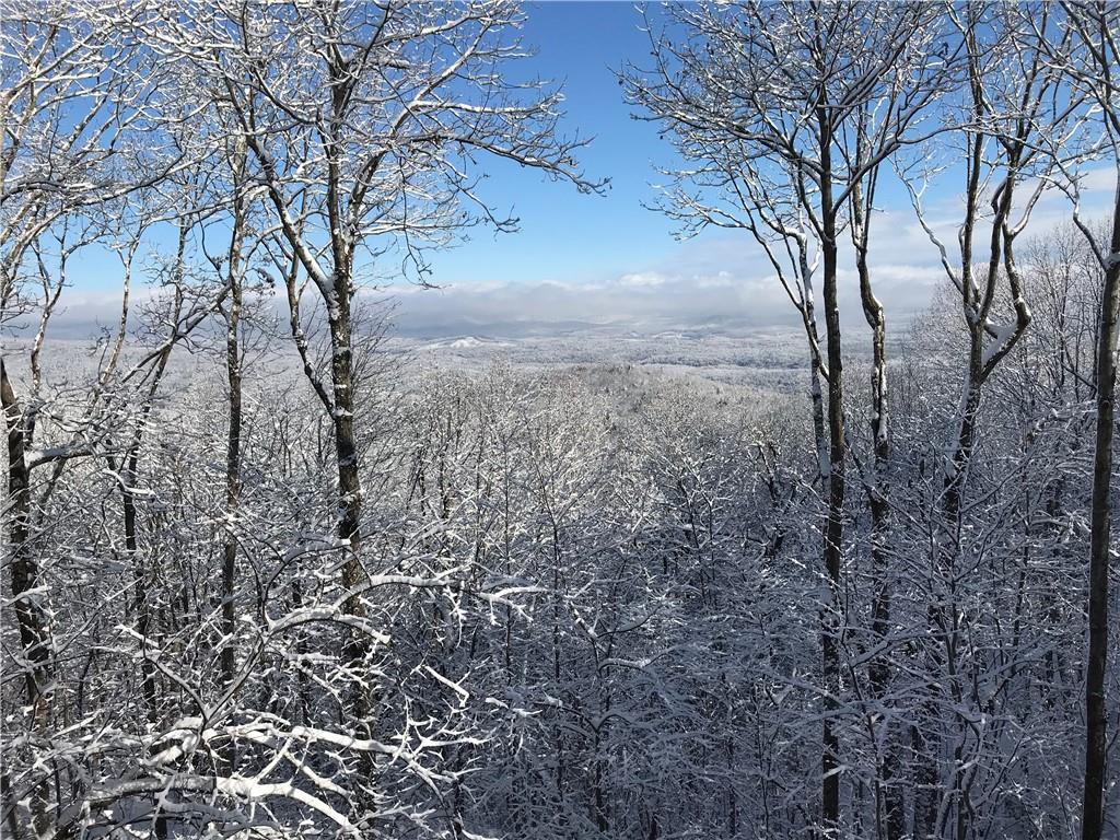 Big Canoe, Georgia, 30143, United States, 4 Bedrooms Bedrooms, ,5 BathroomsBathrooms,Residential,Active,2010159