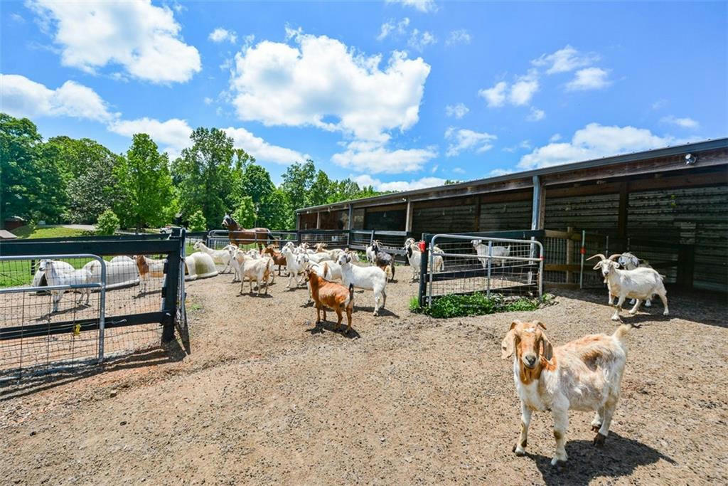 Waleska, Georgia, 30183, United States, ,5 BathroomsBathrooms,Residential,Active,1704235