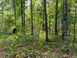 0 PLEASANT VALLEY ROAD, ADAIRSVILLE, CA 95361 - Image 1