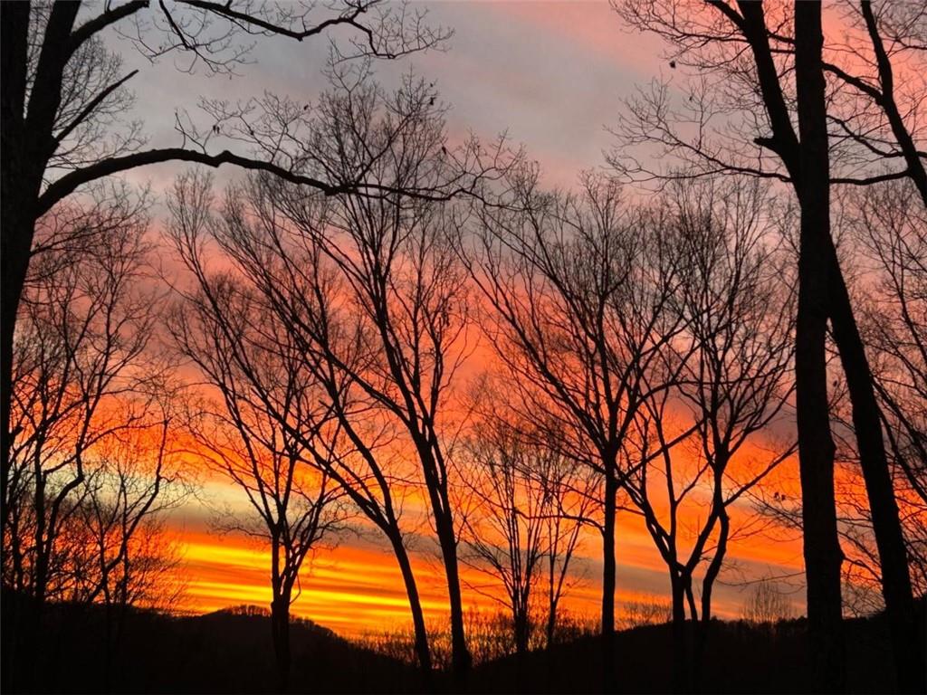 Ellijay, Georgia, 30536, United States, 5 Bedrooms Bedrooms, ,6 BathroomsBathrooms,Residential,Active,1954428