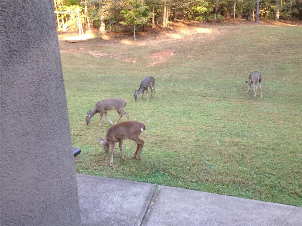 Suwanee, Georgia, 30024, United States, 7 Bedrooms Bedrooms, ,6 BathroomsBathrooms,Residential,Active,1990667