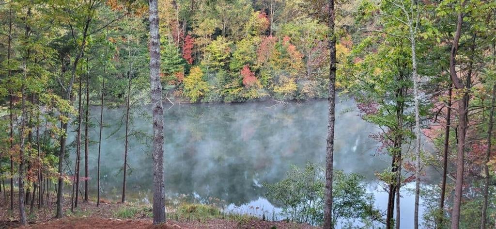 Ellijay, Georgia, 30540, United States, 4 Bedrooms Bedrooms, ,3 BathroomsBathrooms,Residential,Active,1972201