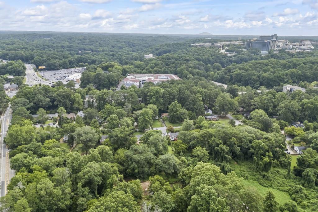 Atlanta, Georgia, 30306, United States, 4 Bedrooms Bedrooms, ,5 BathroomsBathrooms,Residential,Active,1964278