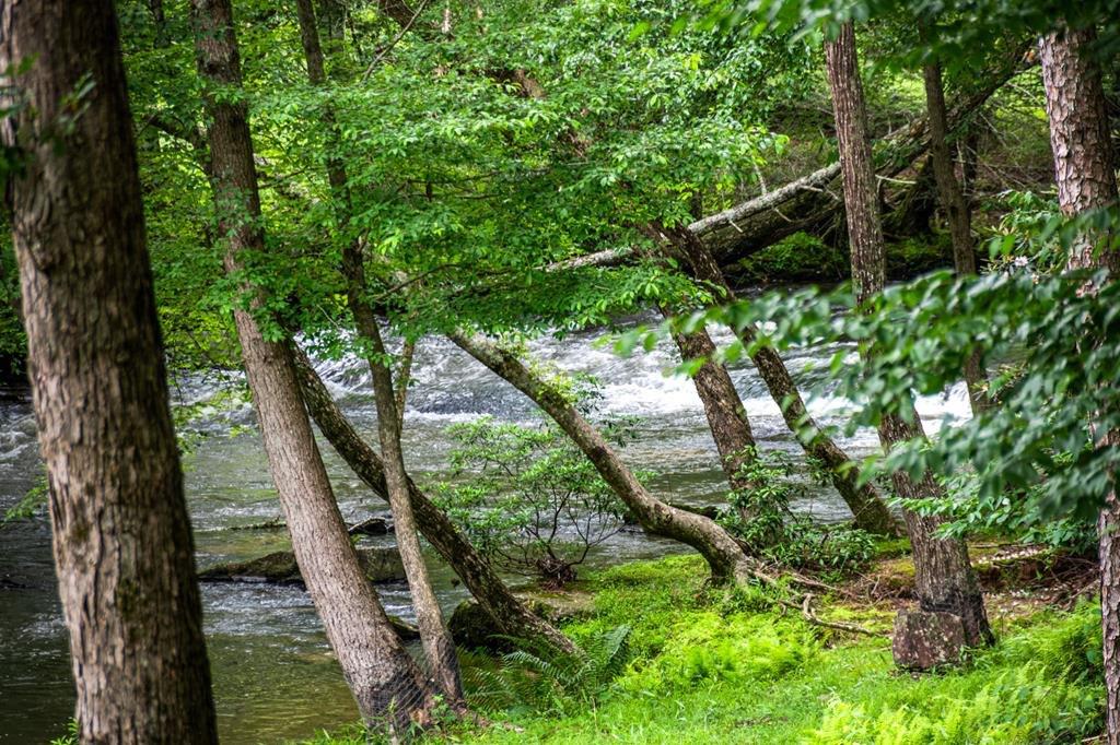 Ellijay, Georgia, 30536, United States, 4 Bedrooms Bedrooms, ,3 BathroomsBathrooms,Residential,Active,1867935