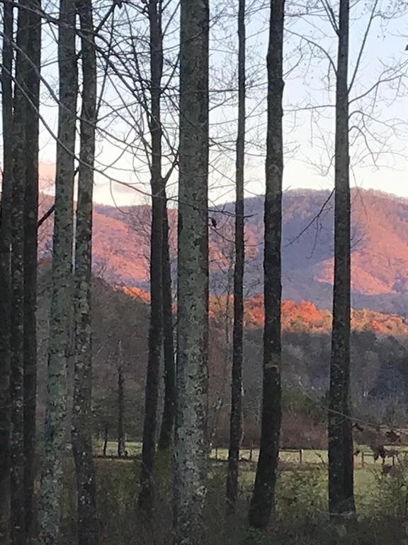 Ellijay, Georgia, 30540, United States, 4 Bedrooms Bedrooms, ,3 BathroomsBathrooms,Residential,Active,1968102