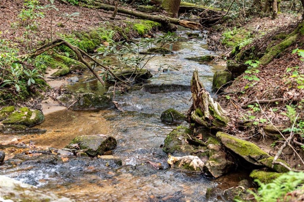 Ellijay, Georgia, 30536, United States, 4 Bedrooms Bedrooms, ,4 BathroomsBathrooms,Residential,Active,1810365