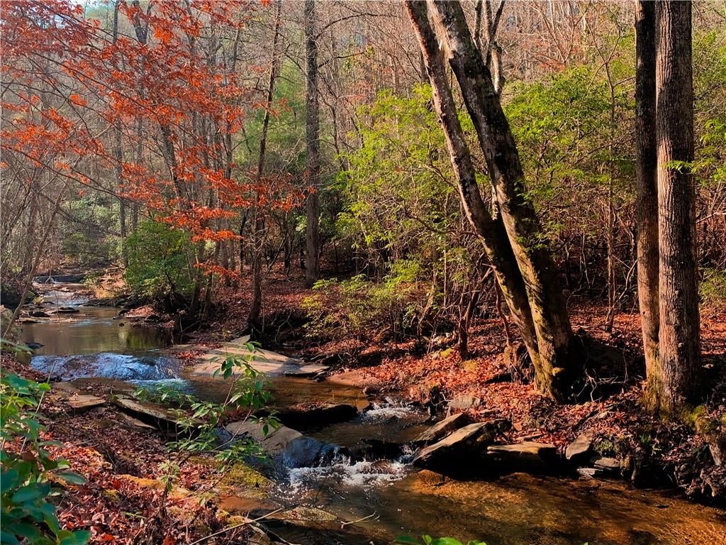 Talking Rock, Georgia, 30175, United States, 4 Bedrooms Bedrooms, ,3 BathroomsBathrooms,Residential,Active,2000221