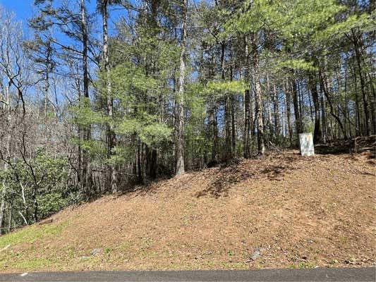 L122 TROUT LINE COURT, TALKING ROCK, GA 30175, photo 2 of 49