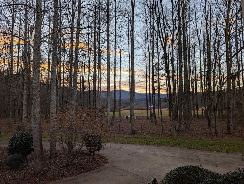 Ellijay, Georgia, 30540, United States, 4 Bedrooms Bedrooms, ,3 BathroomsBathrooms,Residential,Active,1968102