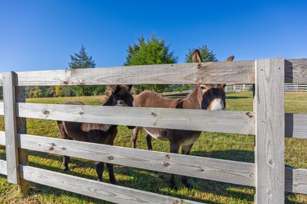 Rydal, Georgia, 30171, United States, 5 Bedrooms Bedrooms, ,5 BathroomsBathrooms,Residential,Active,1987269