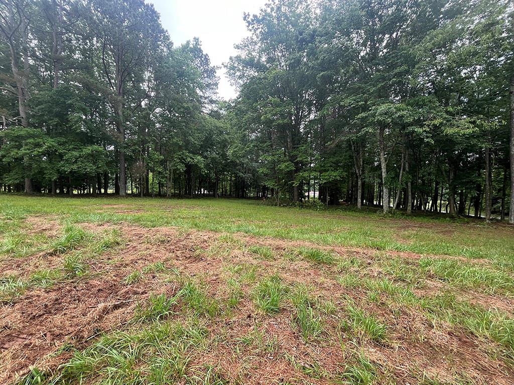 Canton, Georgia, 30114, United States, 5 Bedrooms Bedrooms, ,6 BathroomsBathrooms,Residential,Active,1820849