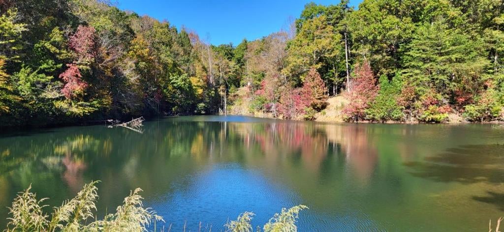 Ellijay, Georgia, 30540, United States, 4 Bedrooms Bedrooms, ,3 BathroomsBathrooms,Residential,Active,1972201