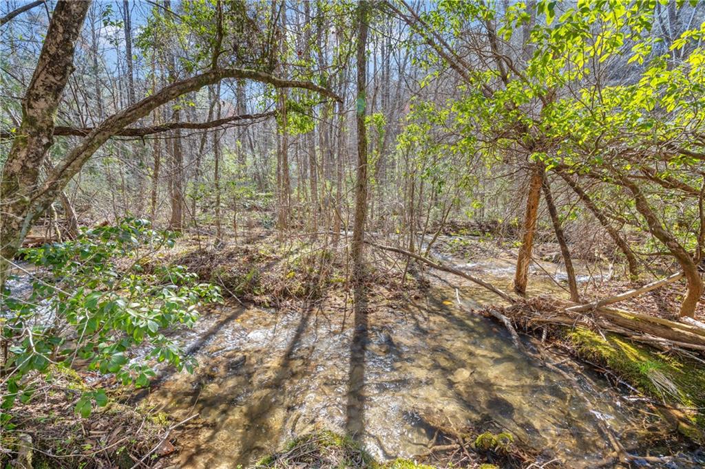 Cherry Log, Georgia, 30522, United States, 4 Bedrooms Bedrooms, ,5 BathroomsBathrooms,Residential,Active,2044183