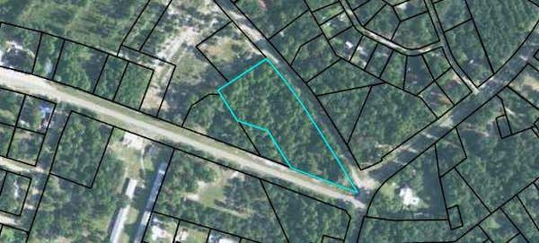 0 SHELLMAN BLUFF ROAD, TOWNSEND, FL 32224 - Image 1