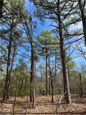 TBD 215 B & D, ANTLERS, OK 74523, photo 2 of 50